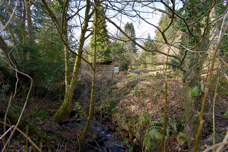 Land and Stream- click for photo gallery
